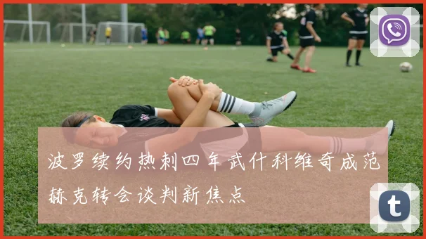 波罗续约热刺四年武什科维奇成范赫克转会谈判新焦点